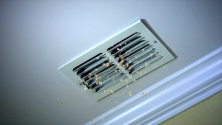 Best Dryer Vent Cleaning Services  in Upper Saddle River, NJ